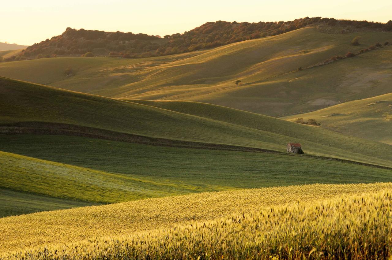 Agriturismo Palazzo Conti - B ปีเอนซา ภายนอก รูปภาพ