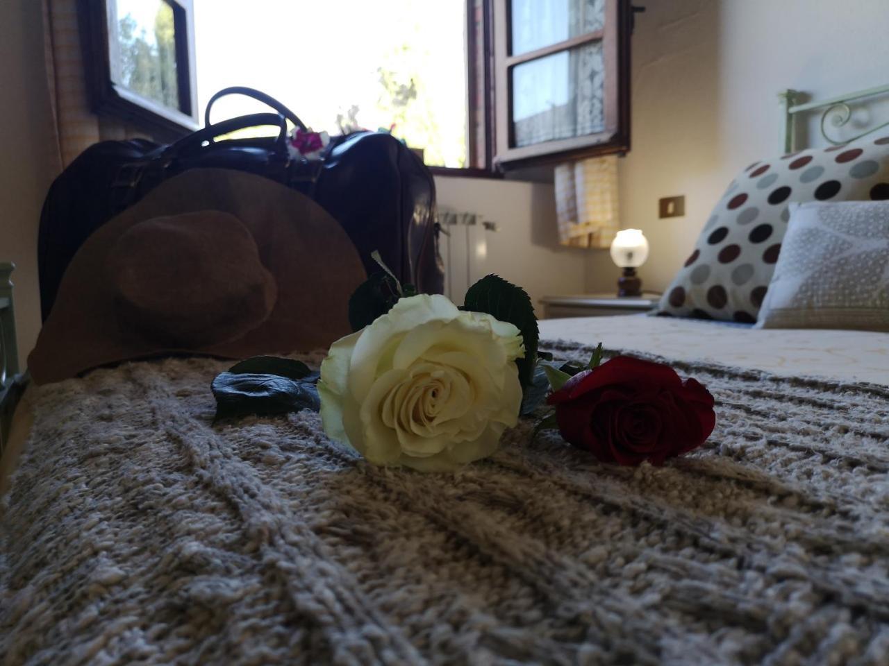 Agriturismo Palazzo Conti - B ปีเอนซา ภายนอก รูปภาพ